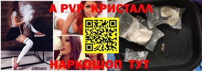 спиды Каменск-Шахтинский