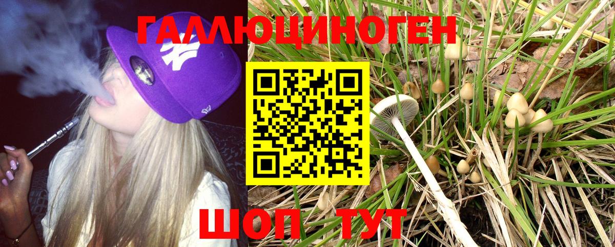 Галлюциногенные грибы Psilocybe  Псилоцибиновые грибы MAGIC MUSHROOMS  Вход с VPN  Барнаул 
